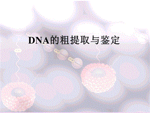 dna的粗提取与分离课件.ppt