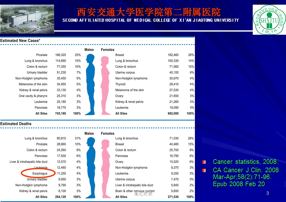 食管癌同步放化疗【治疗】课件.ppt_第3页