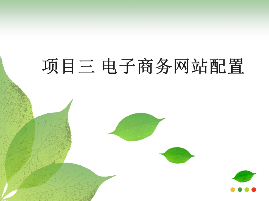 项目三电子商务网站配置课件.ppt_第1页