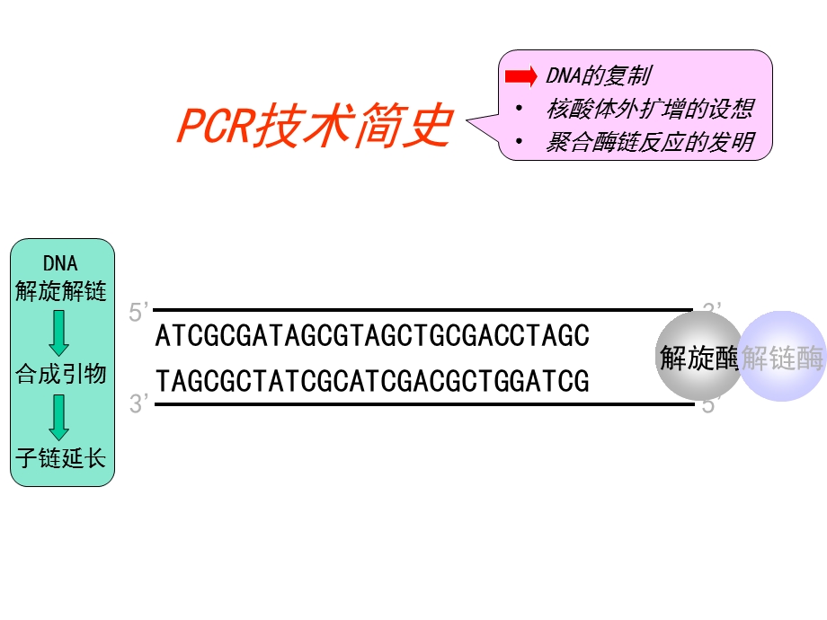 pcr技术及其应用 课件.ppt_第3页