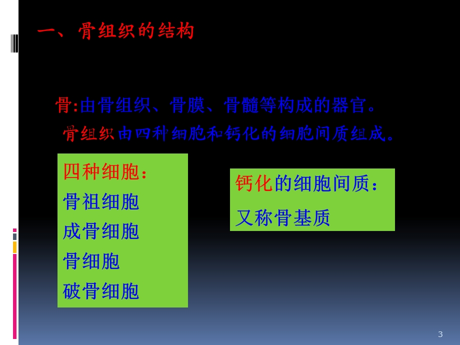 骨代谢课件.ppt_第3页