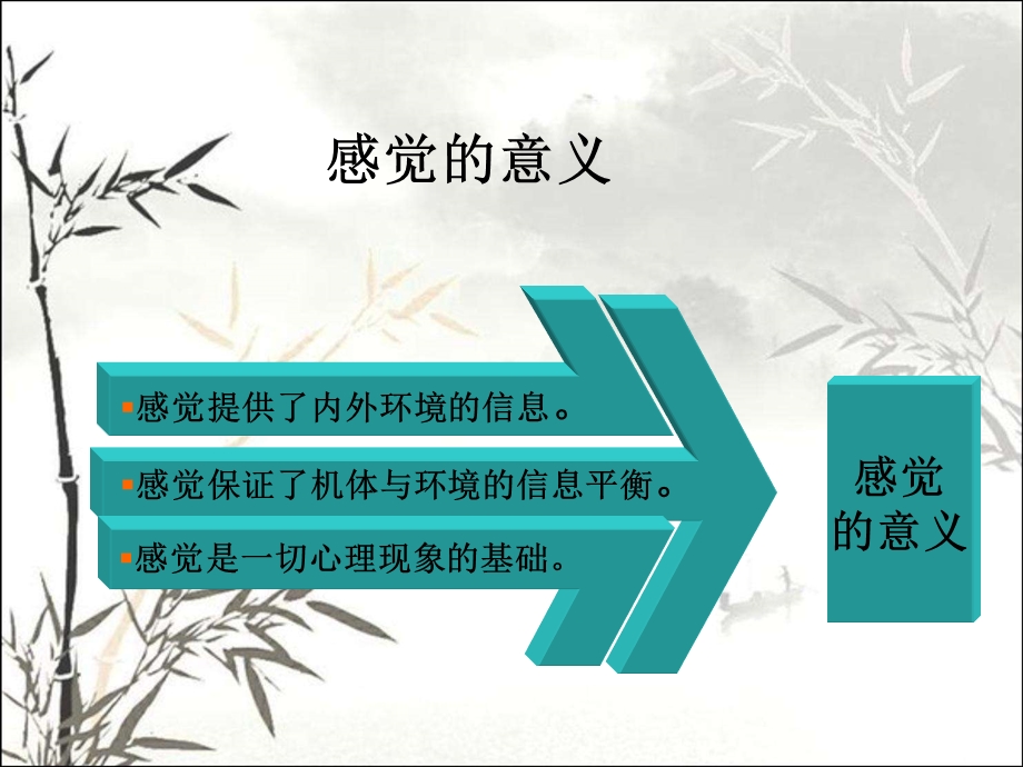 感知与知觉课件.ppt_第3页