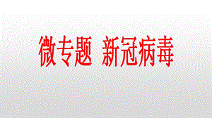 2021届高三二轮复习生物：微专题5新冠病毒ppt课件.pptx