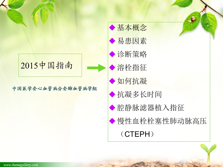 急性肺栓塞诊断及治疗指南课件.ppt_第3页