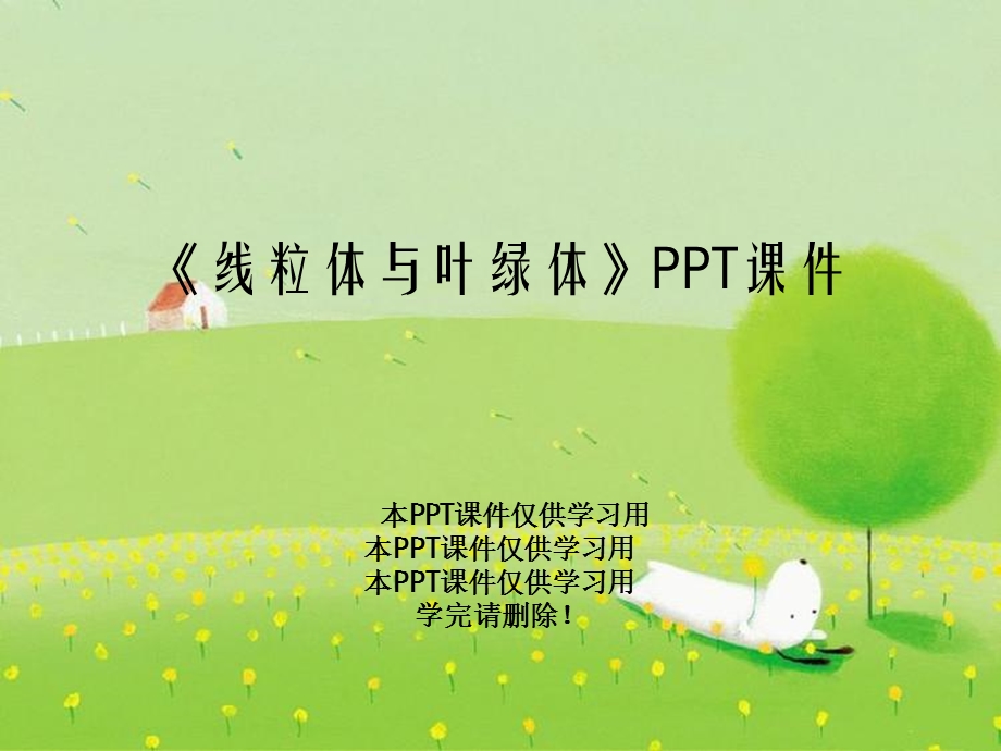 《线粒体与叶绿体》课件.ppt_第1页