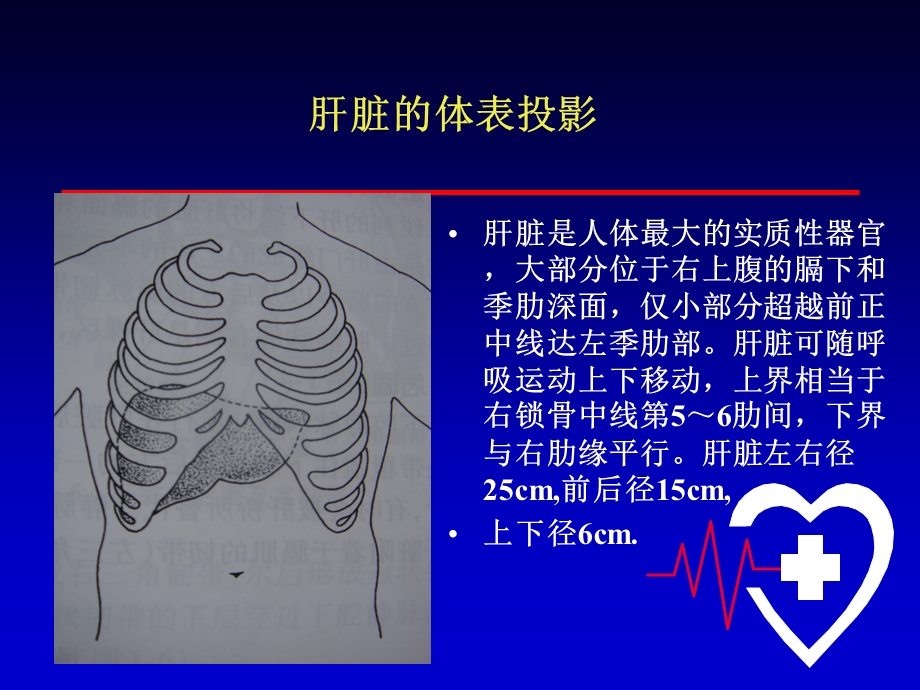 肝破裂课件.ppt_第3页