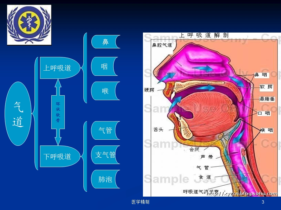 急救气道管理(内容详细)课件.ppt_第3页