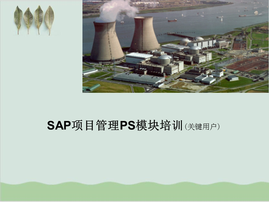 SAP项目管理模块培训课件.ppt_第1页