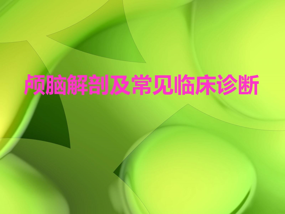 颅脑解剖课件.ppt_第1页