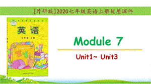 [外研版]七年级英语上册Module7优质单元ppt课件全套.pptx