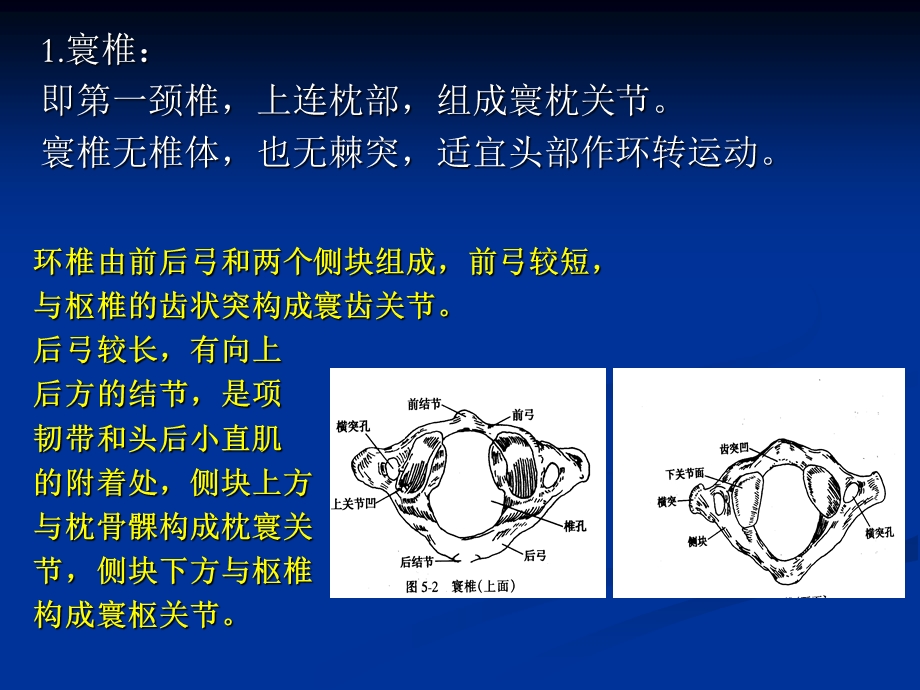 颈肩痛临床应用研究课件.ppt_第3页