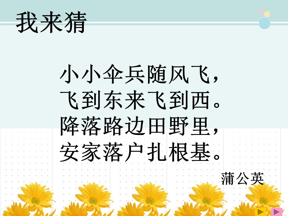 《金色的草地》一等奖完整公开课ppt课件.ppt_第1页