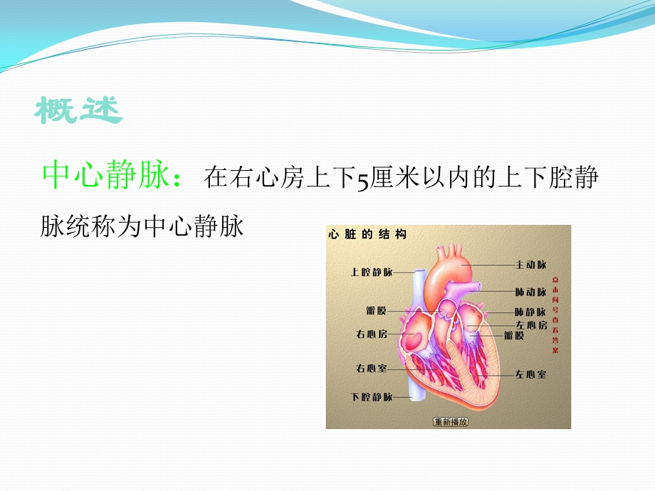 中心静脉导管护理课件.ppt_第1页