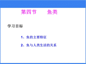 《鱼类》公开课教学课件【八年级生物上册】.ppt