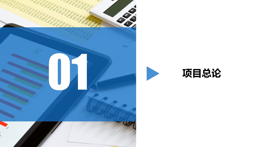 项目可行性研究汇报模板ppt通用模板课件.pptx_第3页