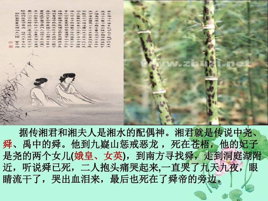 《湘夫人》优秀获奖ppt课件讲课讲稿.ppt_第3页