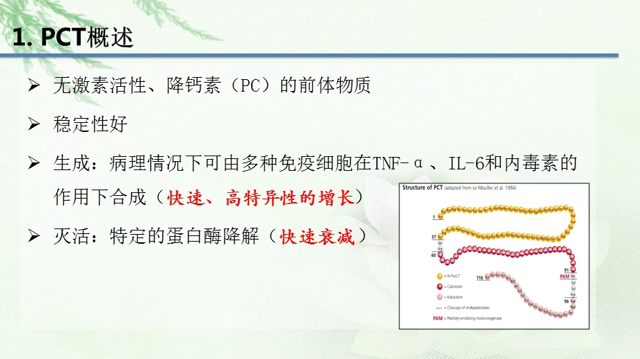 降钙素原PCT的临床意义课件.ppt_第2页