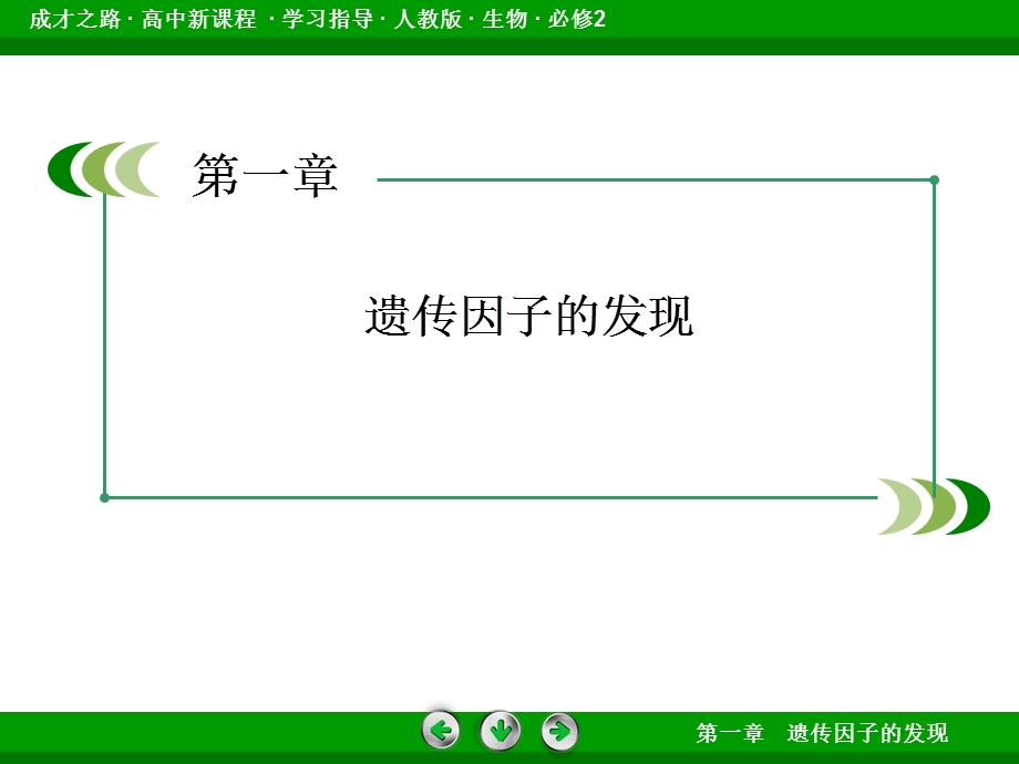 高一生物必修二（人教版）讲义12孟德尔豌豆杂交课件.ppt_第2页
