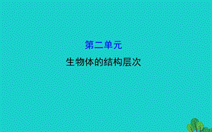 七年级生物上期末复习第二单元生物体的结构层次ppt课件(新版)新人教版.pptx