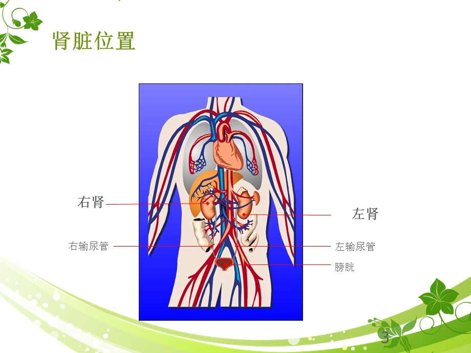 透析基础知识课件.pptx_第3页