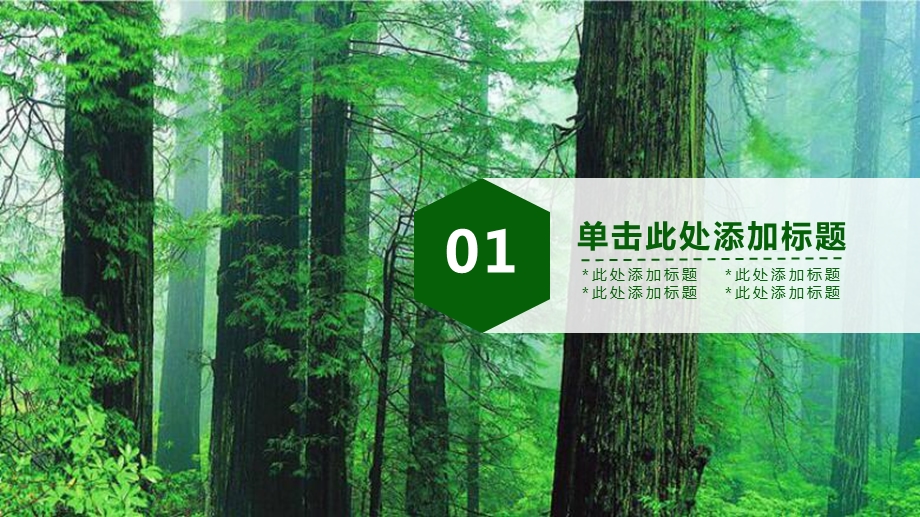 绿色环保低碳植树林业绿化ppt模板课件.pptx_第3页