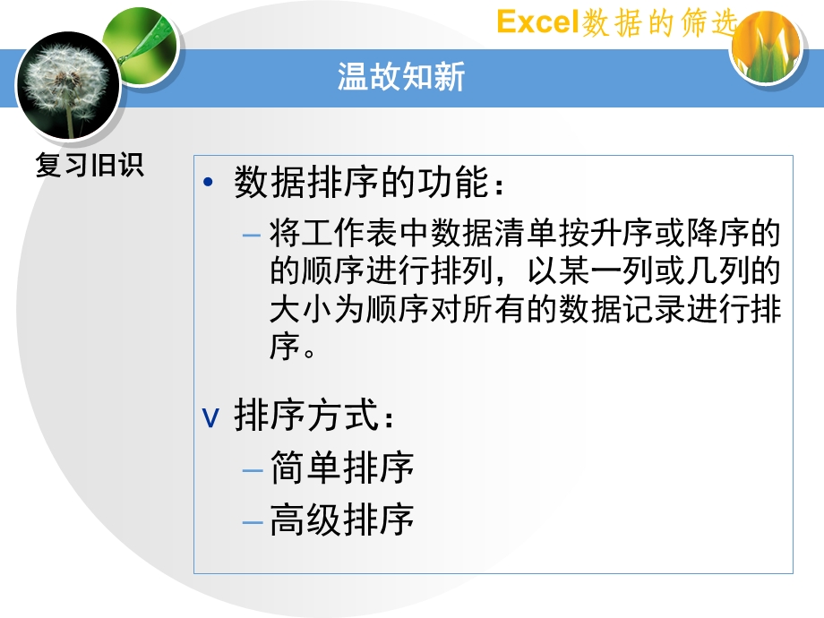 Excel数据的筛选课件.pptx_第2页