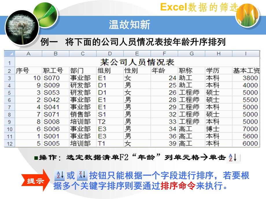 Excel数据的筛选课件.pptx_第3页