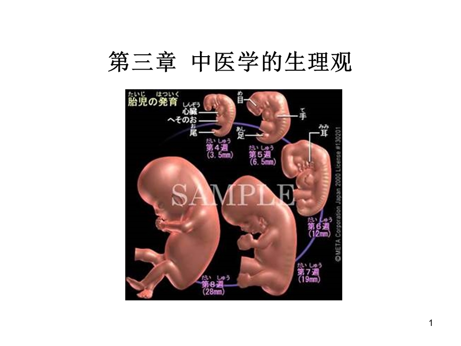 中医学的生理观课件.ppt_第1页
