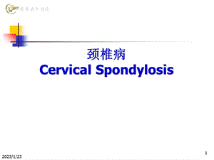 颈椎病的诊断与治疗(多图)课件.ppt