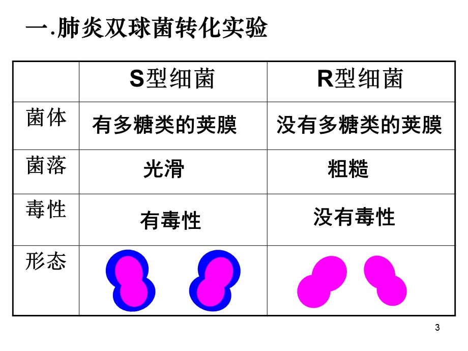 DNA是遗传物质的实验证据)课件.ppt_第3页