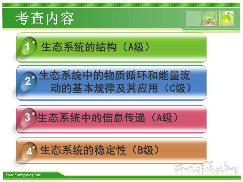 高三二轮复习专题生态系统课件.ppt_第3页