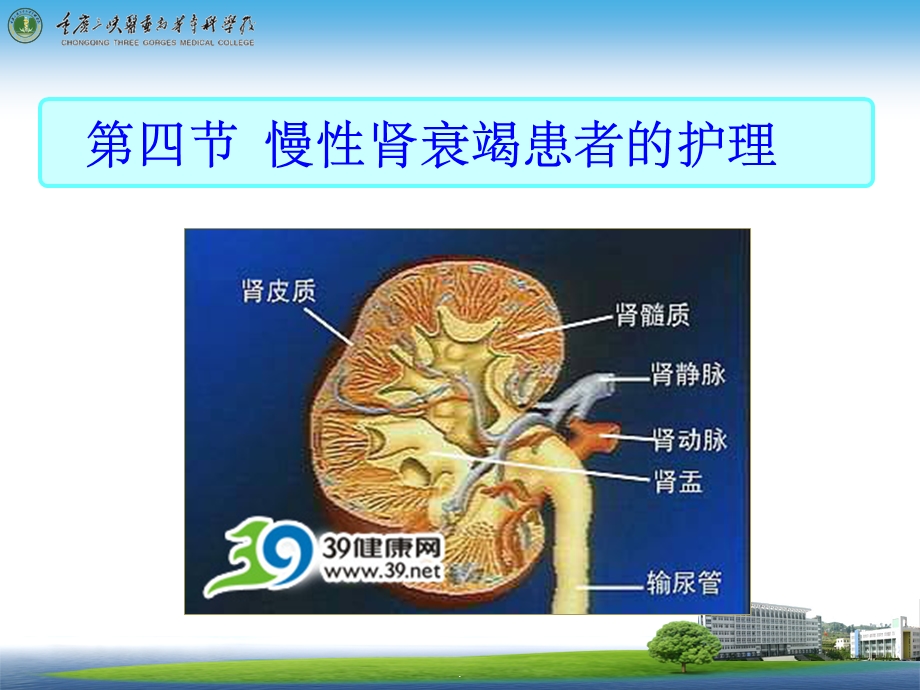 慢性肾衰竭患者护理课件.ppt_第1页