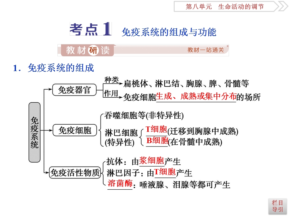 2020届人教版一轮复习第28讲 免疫调节 ppt课件.ppt_第3页