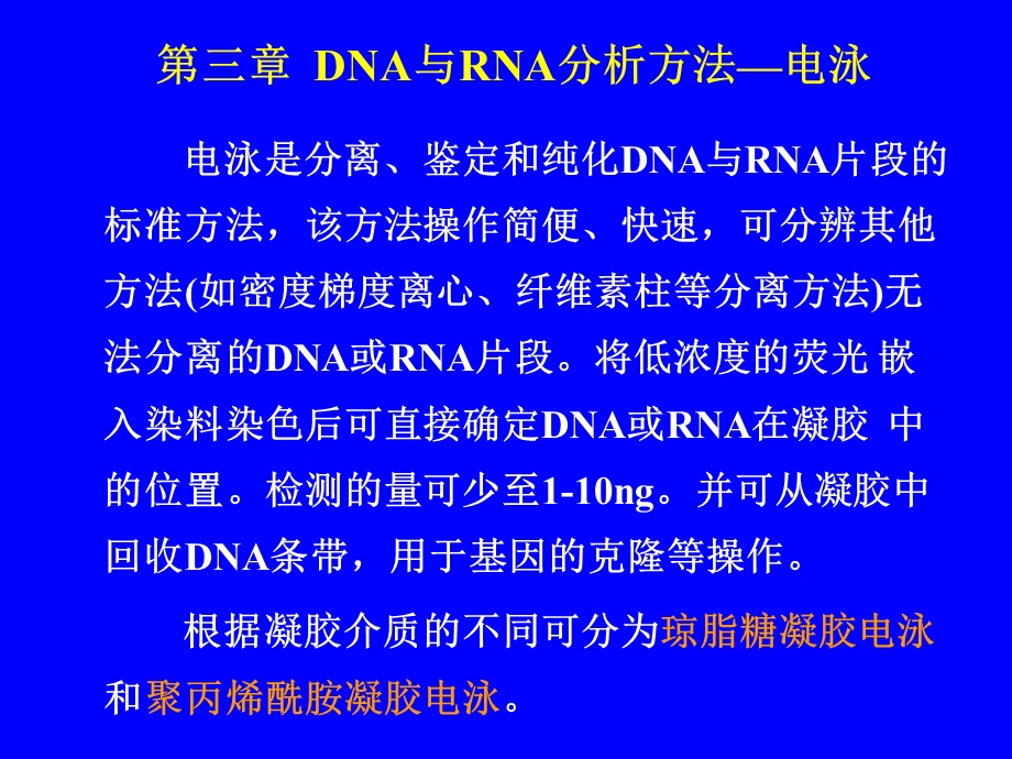 DNA与RNA分析方法课件.ppt_第1页