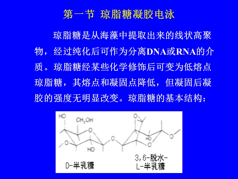 DNA与RNA分析方法课件.ppt_第2页