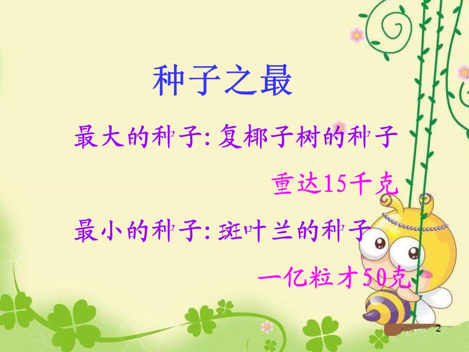 《种子植物》课件.ppt_第2页