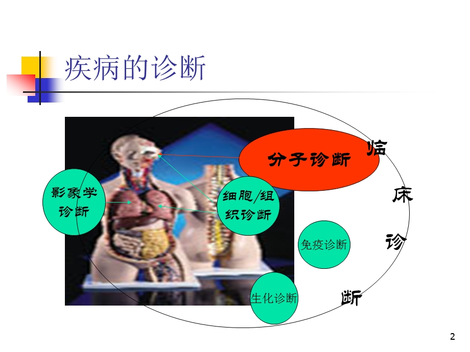 PCR技术上岗培训课件.ppt_第2页