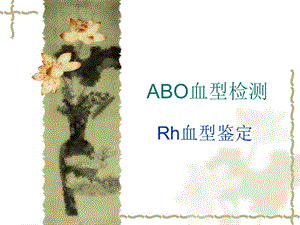 ABO Rh血型检测资料课件.ppt