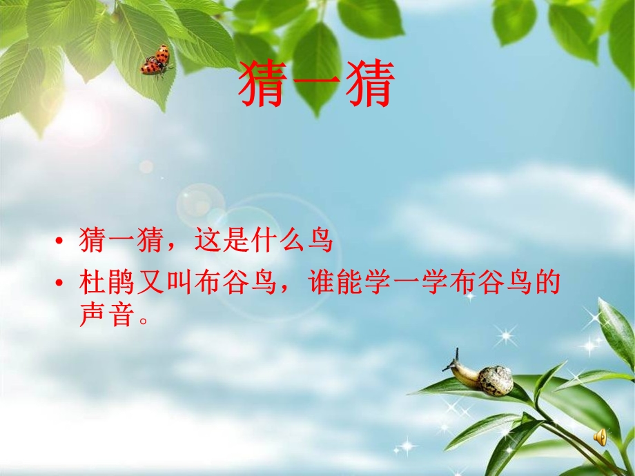 三年级下册音乐ppt课件 顽皮的小杜鹃1 湘教版.ppt_第3页