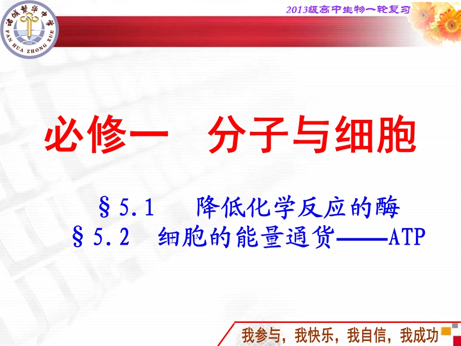 酶和ATP复习课ppt课件.ppt_第1页