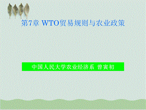 WTO贸易规则与农业政策课件.ppt