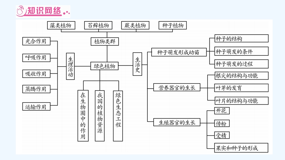 中考生物总复习知能综合突破专题生物圈中的绿色植物ppt课件北师大版.ppt_第2页