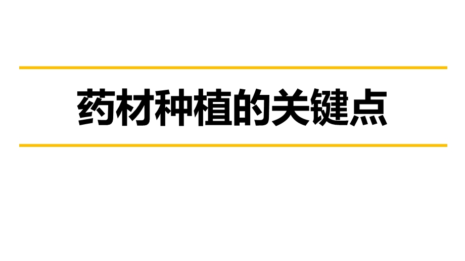 药材种植的关键点课件.pptx_第1页