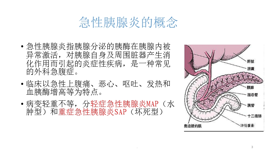 急性胰腺炎小讲座课件.pptx_第3页