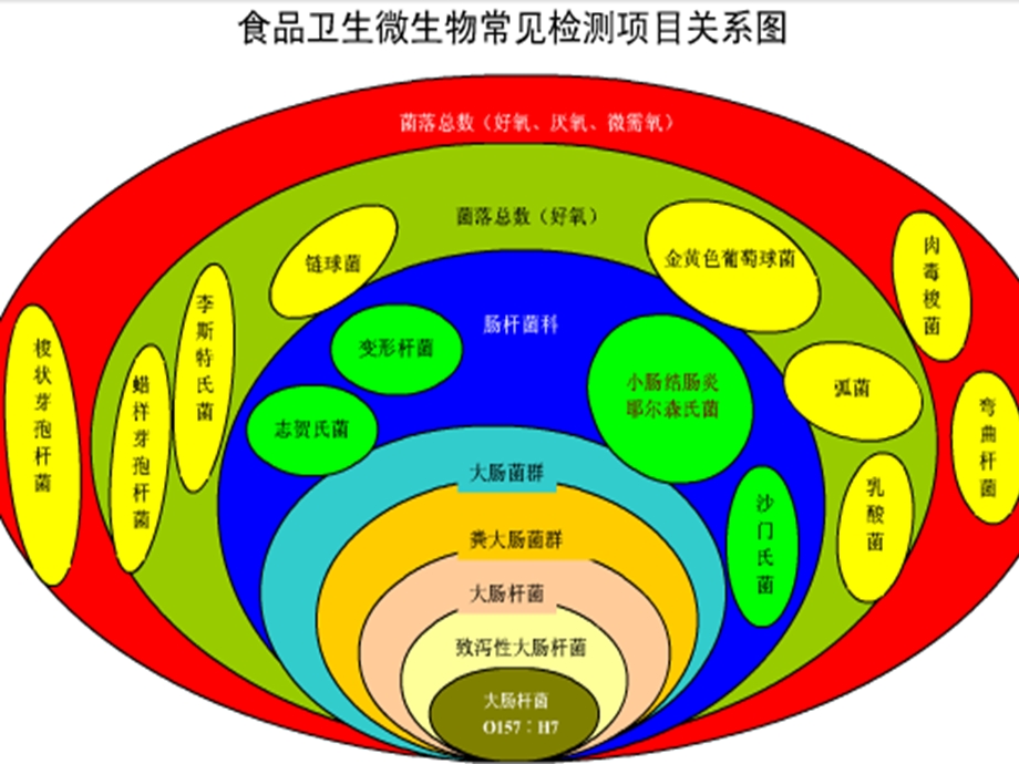 食物中毒性细菌及其检验课件.ppt_第2页