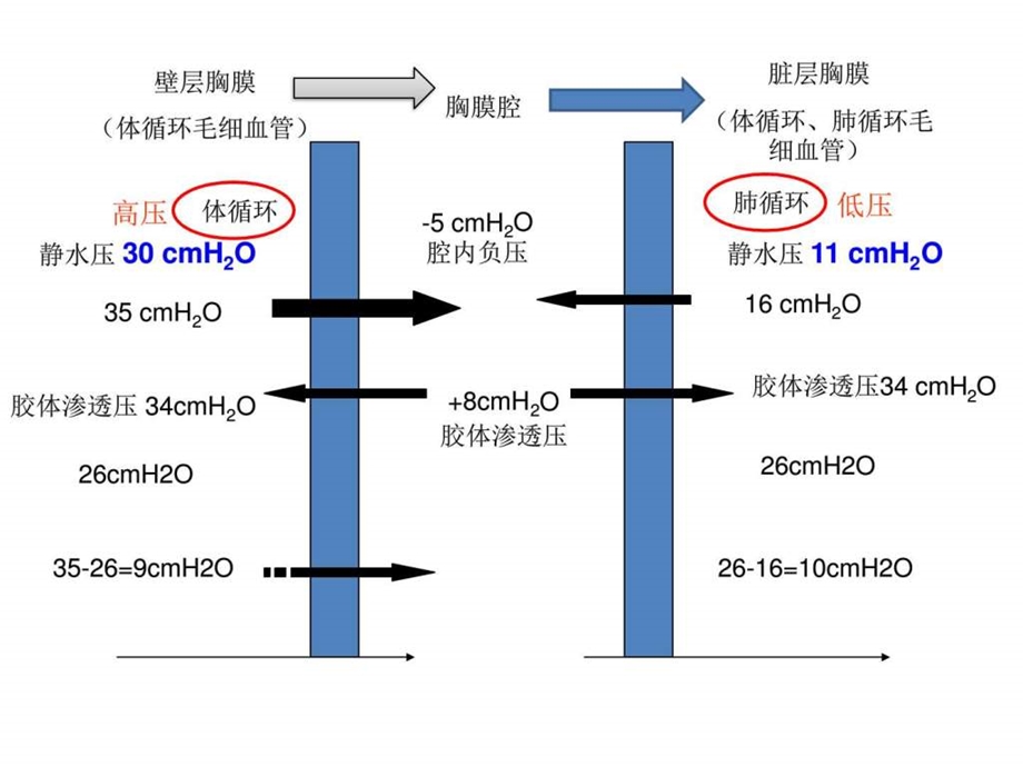 《胸腔积液鉴别诊断》课件.ppt_第3页