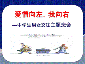 中学生反早恋主题班会课件.ppt