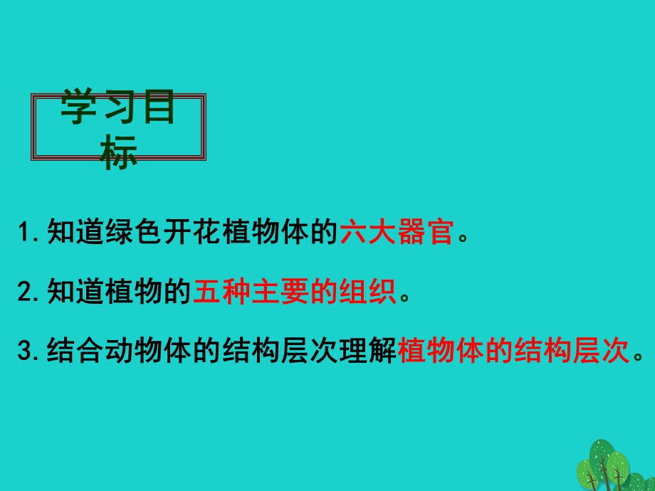 七年级生物上册第二单元23植物体的结构层次ppt课件（新版）新人教版.ppt_第3页