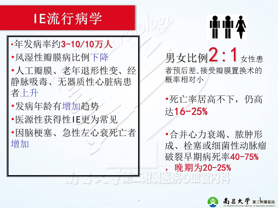 感染性心内膜炎指南课件.ppt_第3页