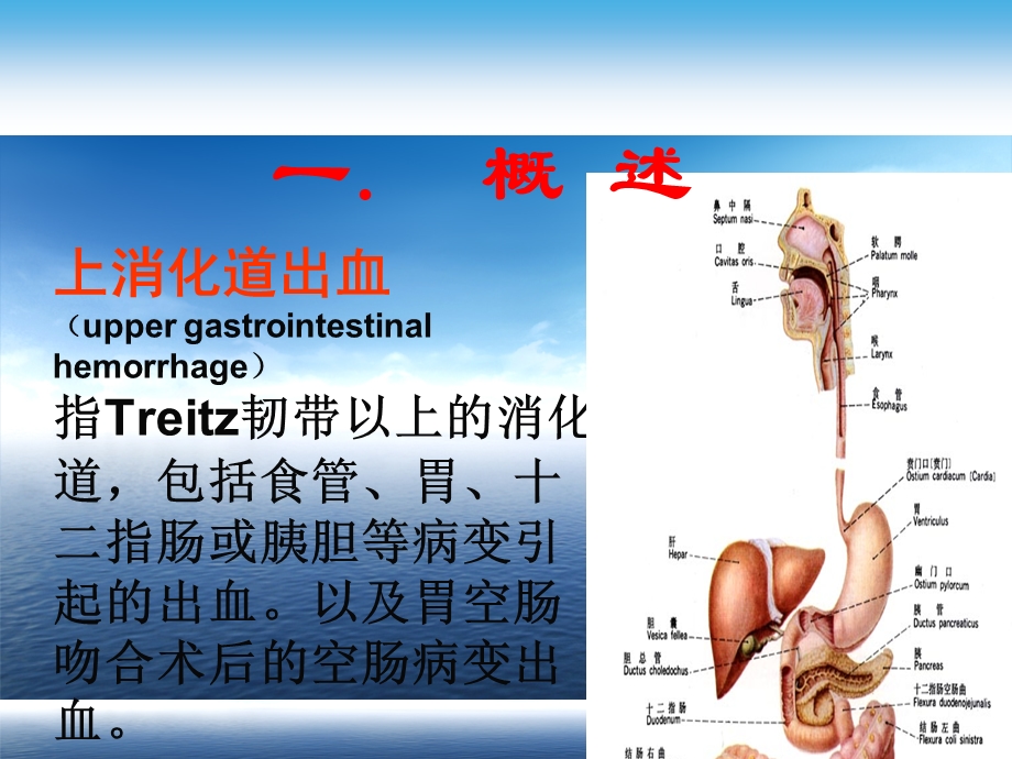 上消化道出血ppt演示文稿课件.ppt_第2页